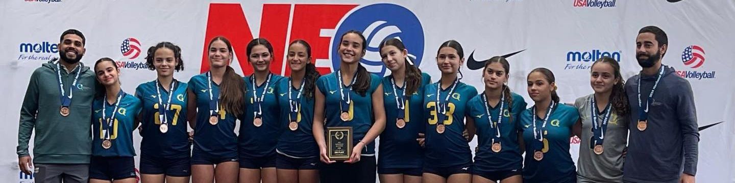 GVA Volleyball Academy Banner Image